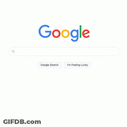 Joe Search Google Or Type A Url Meme GIF