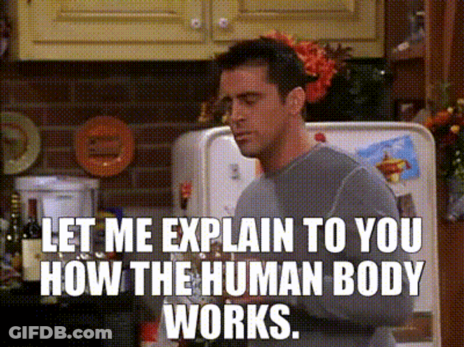 Joey Explaining Human Body Work Friends GIF