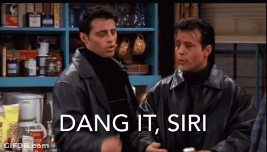 Joey Tribbiani Dang It Siri GIF