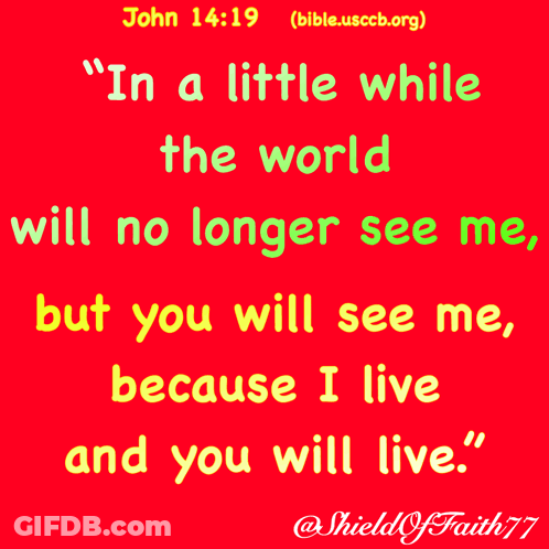 John 14:19 World Won't See Me, You Will GIF