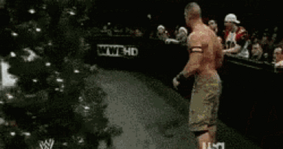 John Cena Christmas Gift WWE GIF