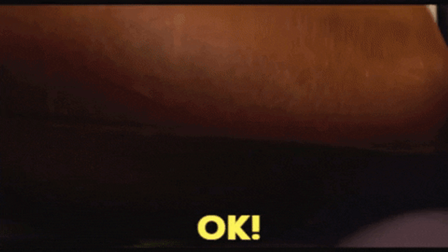 John Krasinski I Concede You Win GIF