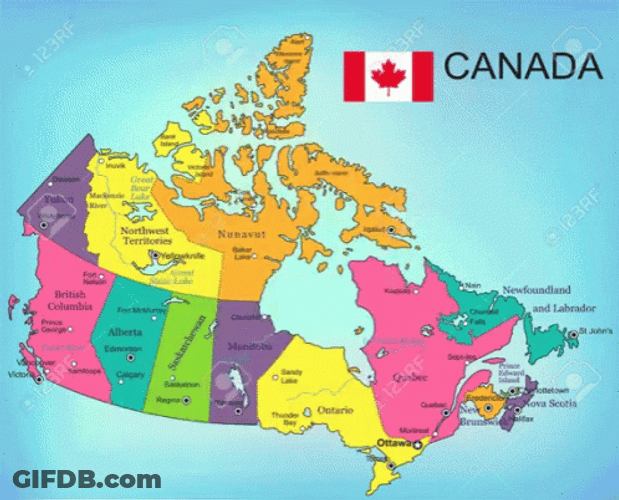 John Travolta Lost In Canada GIF