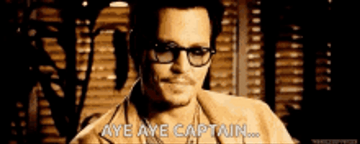 Johnny Depp Aye Aye Captain GIF
