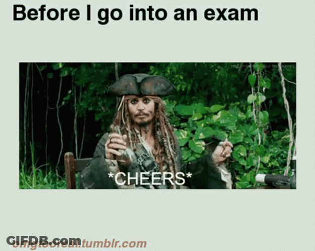 Johnny Depp Cheers Meme GIF