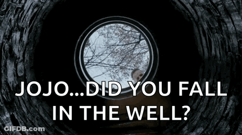 Jojo Did You Fall In The Well White On Black GIF