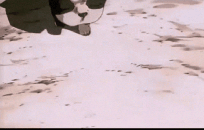 Jojo's Bizarre Adventure Shows Iggy Grinning GIF