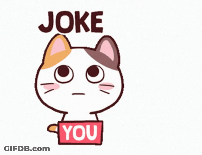 Joke Cute Cat You GIF