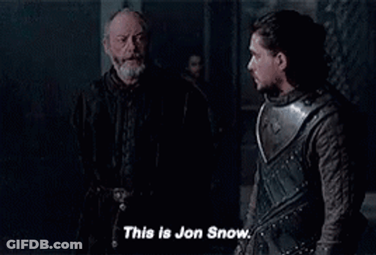 Jon Snow Being Introduced Game Of Thrones GIF