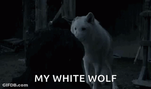 Jon Snow Holding White Wolf Saying My White Wolf GIF