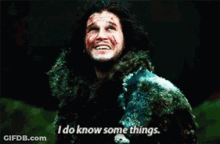 Jon Snow Knows Some Things GIF