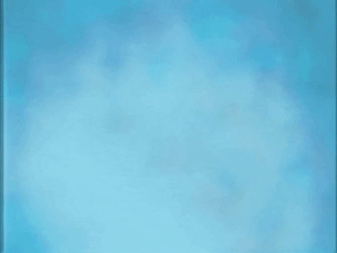 Jonas Brothers Birthday Party Champagne Cheers GIF