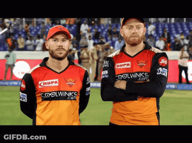 Jonny Bairstow David Warner Cricketer GIF