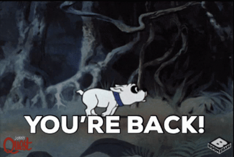 Jonny Quest Shes Back GIF