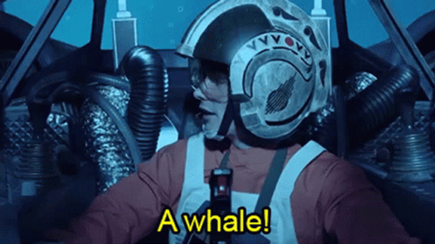 Jontron A Whale GIF