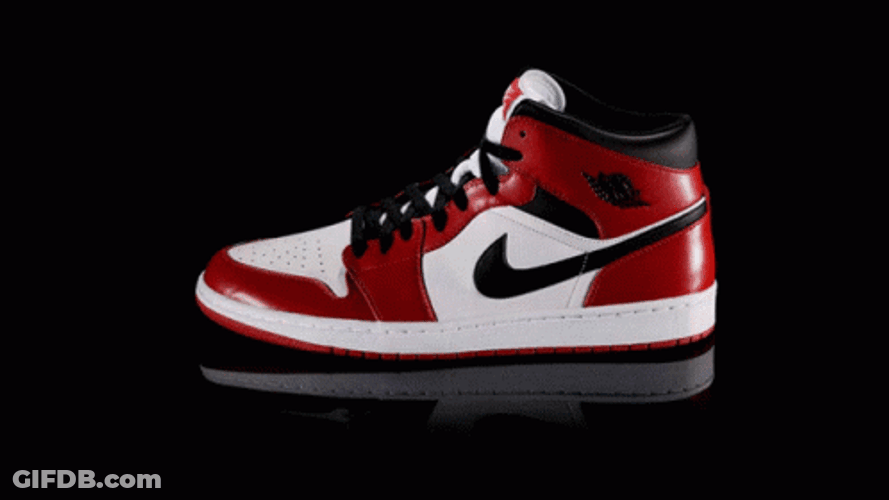 Jordan 4 Evolution Pictures GIF