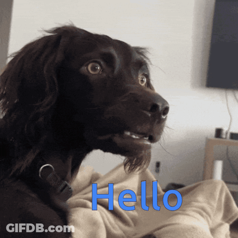 Jordan Love Green Bay Packers GIF