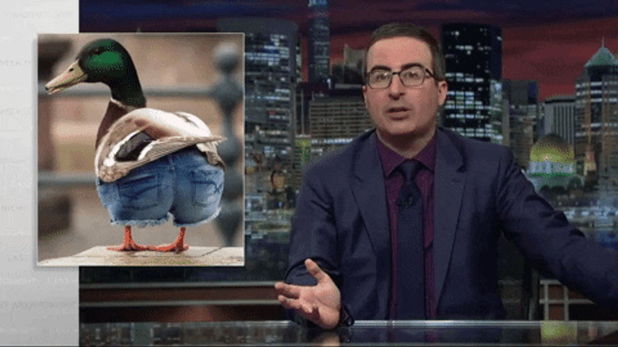 Jorts Duck Wears Shorts GIF