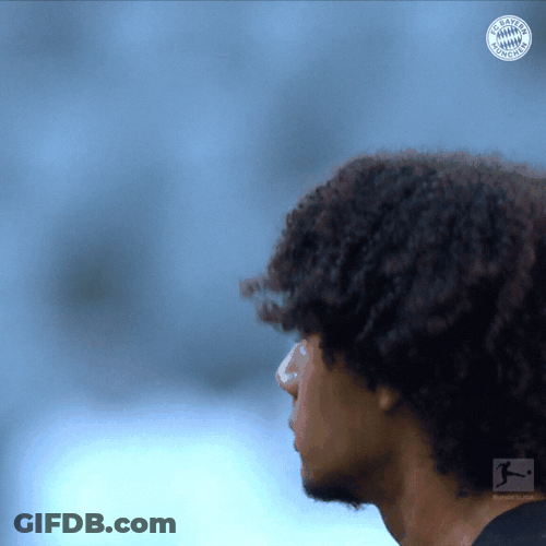 Joshua Zirkzee Impressive Debut GIF