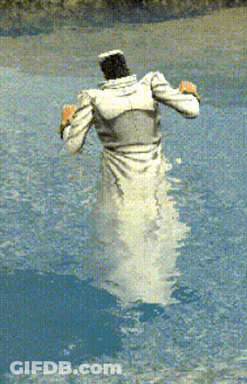 Jotaro Kujo Water Dancing GIF