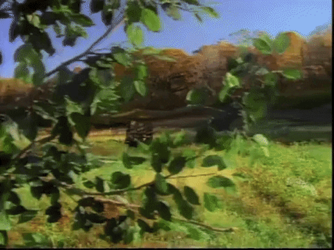 Joyful Mazel Tov Finally On Your Way GIF