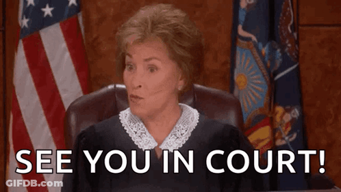 Judge American Flag Says See You In Court GIF