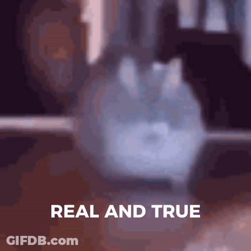 Judge In Robe Says My Pleasure In Front Of Door GIF