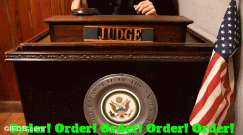 Judge Podium With American Flag Saying Order Order Order GIF