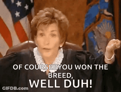 Judge Saying Of Course You Won Breed Duh GIF