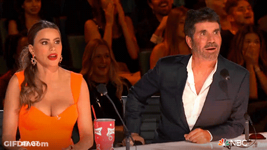 Judges Having No Words GIF