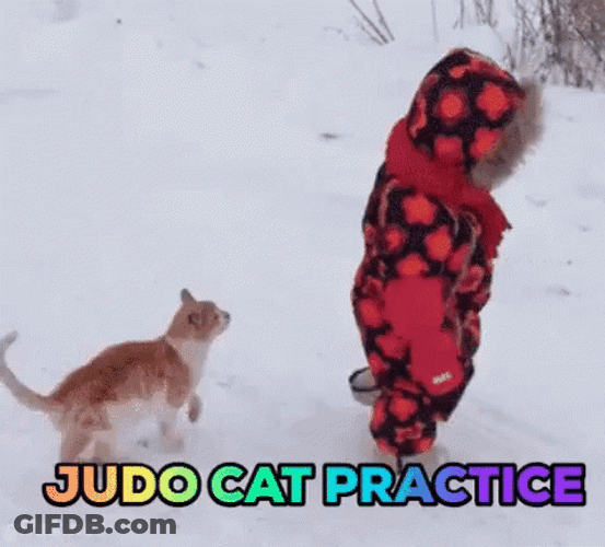 Judo Cat Jumps On Baby GIF