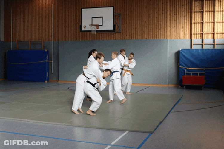 Judo Chop Class Training GIF