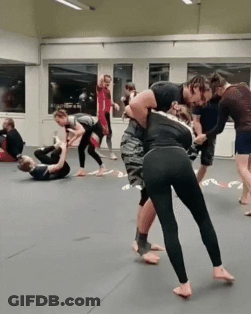 Judo Grappling GIF