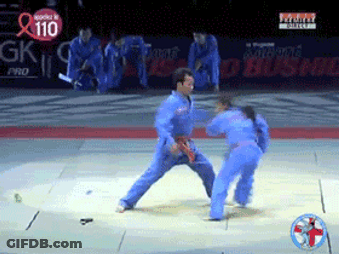 Judo Head Pin GIF