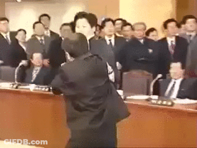Judo Politics GIF
