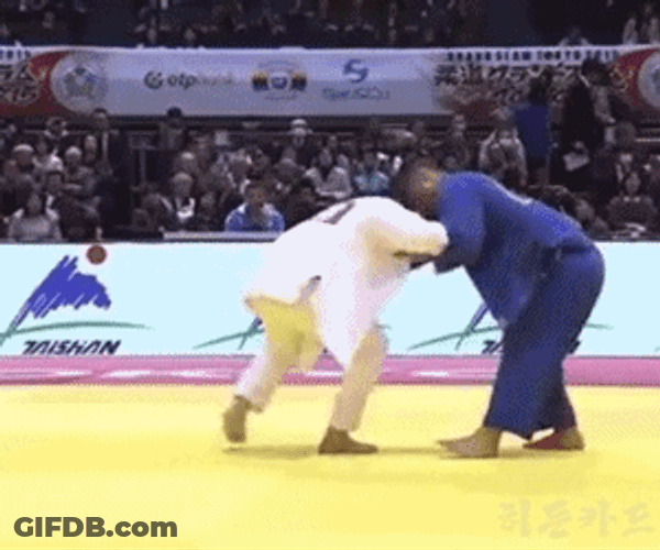 Judo Reverse PIn GIF