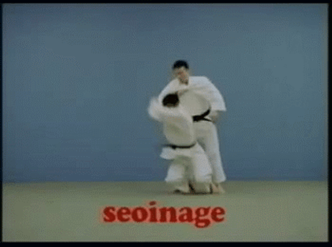 Judo Techniques GIF