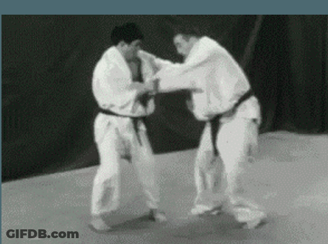 Judo Throw Fail GIF