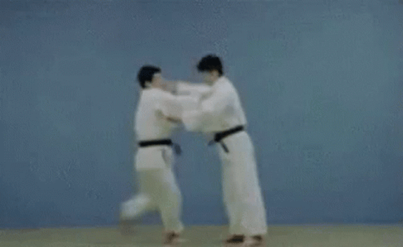Judo Throw Waza Technique GIF