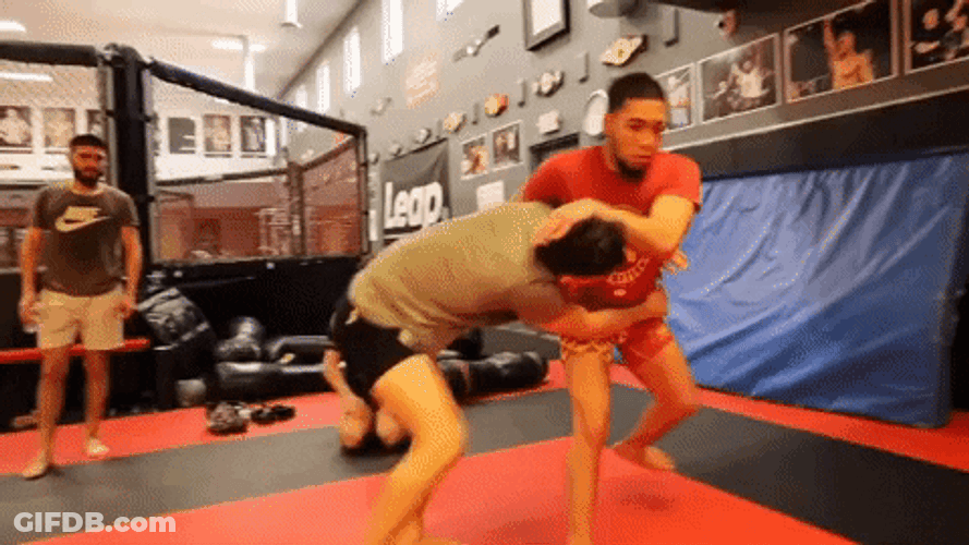 Judo UFC Throw GIF
