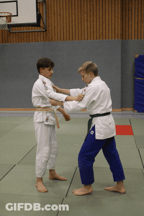 Judo Wrist Throw Down GIF