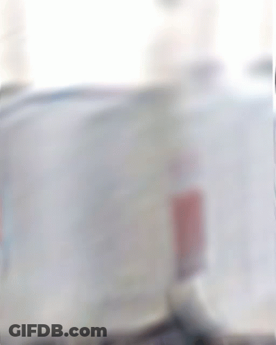 Jugs Of Jugg Editors On Shelf GIF
