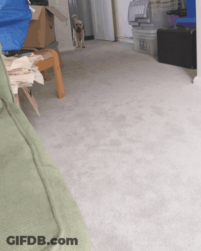 Juke Box Family Logo Baby In Cage Footprints GIF
