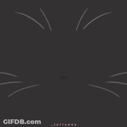 Jully Jullyeny GIF