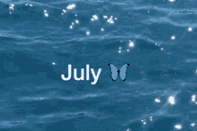 July Beach Waters GIF