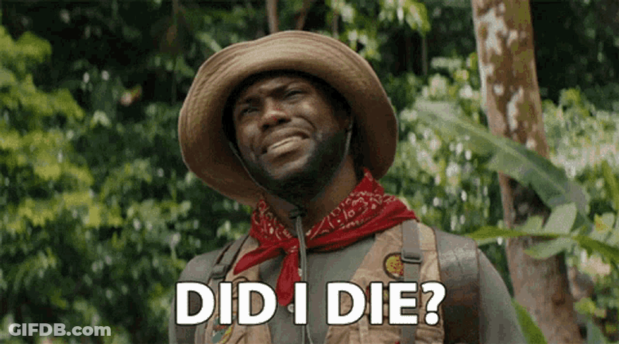 Jumanji Did I Die GIF