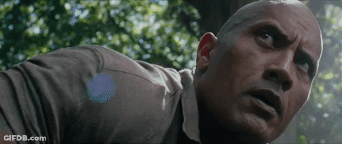 Jumanji Dwayne Rock Eyebrow GIF