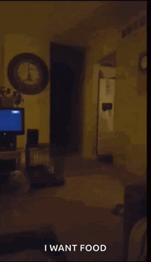 Jump Scare Scary GIF