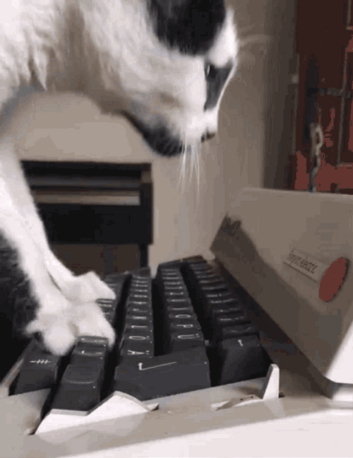 Jumping Cat Typing On Keyboard GIF