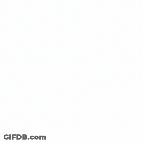 Jumping Dog I Love You GIF